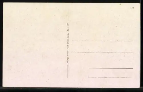 AK Eger, Ortsansicht mit der Kaiserburg