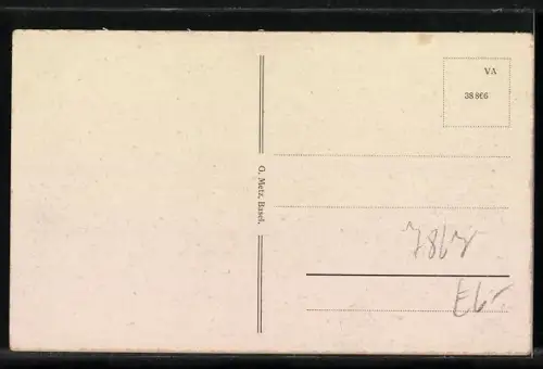 AK Todtmoos-Höfle, Gasthof Schwarzwaldhaus