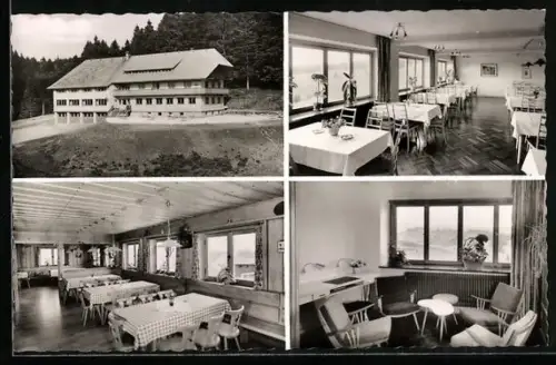 AK Todtnau /Schwarzwald, Gasthof Pension Gisiboden, Inh. Karl Scheirle