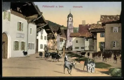 AK Mittenwald a. Isar., Obermarkt, Ziegen am Obermarkt