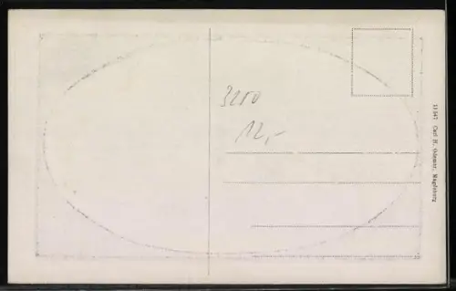 AK Hameln, Münsterkirche