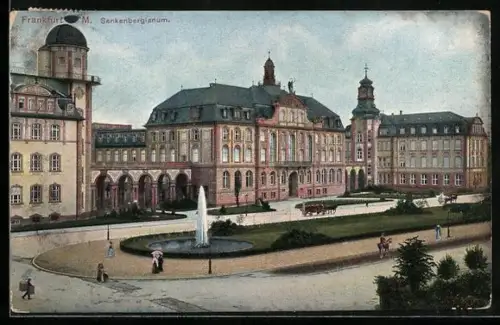 AK Frankfurt-Westend, Senckenbergianum