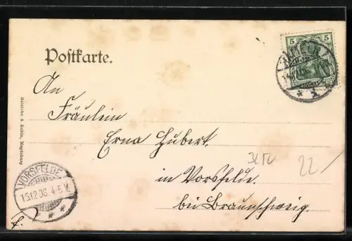 AK Hameln, Blick auf die Stadt von Dreyer`s Berggarten aus