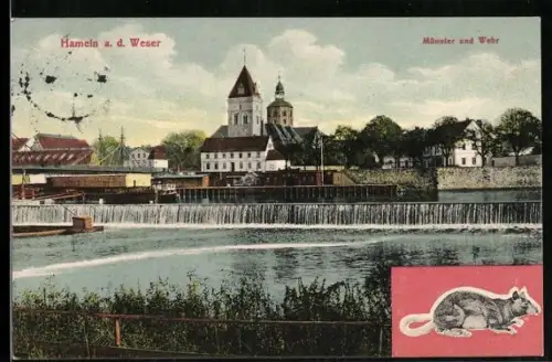 AK Hameln a. d. Weser, Münster und Wehr, Ratte