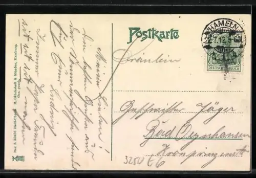 AK Hameln a. d. Weser, Münster und Wehr, Ratte