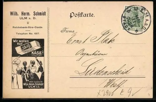 AK Ulm a. D., Werbung Knölly Kase, Wilh. Herm. Schmidt Käsefabrik