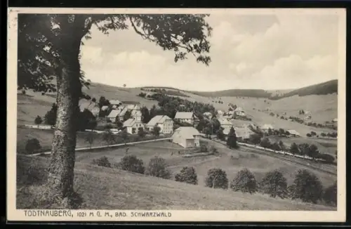 AK Todtnau /Bad Schwarzwald, Todtnauberg