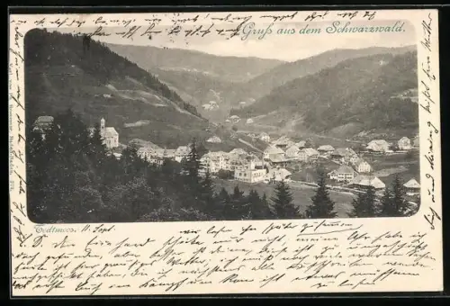 AK Todtmoos, Ortspartie im Gebirge