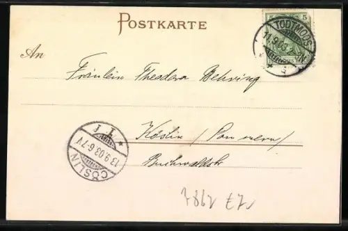 AK Todtmoos, Ortspartie im Gebirge