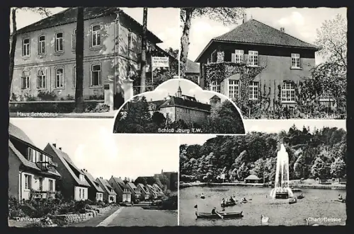 AK Iburg /T. W., Schloss, Haus Schlossblick, Charlottensee, Dahlkamp