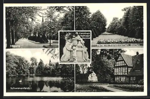 AK Celle, Französischer Garten, Carolinen-Mathilden-Denkmal, Schwanenteich, Partie im Garten