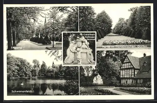 AK Celle, Französischer Garten, Carolinen-Mathilden-Denkmal, Schwanenteich, Parkansichten