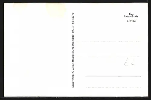 AK Celle, Altes Patrizierhaus, Poststr., Rathaus, Schloss, Neue Strasse, Stechbahn