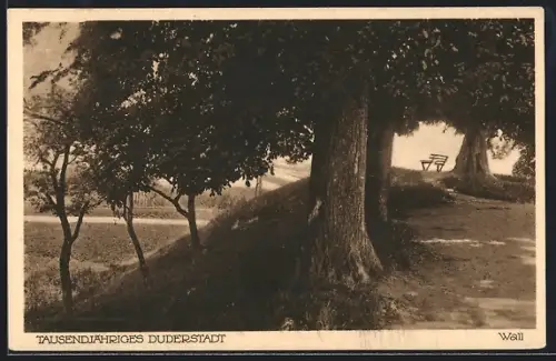 AK Duderstadt, Wall, tausendjähriges Duderstadt