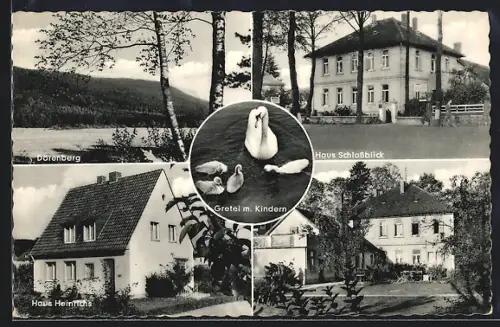 AK Iburg /T. W., Dörenberg, Haus Schlossblick, Haus Heinrichs, Gretel mit Kindern
