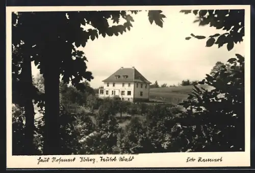 AK Iburg /Teutob. Wald, Haus Roseneck