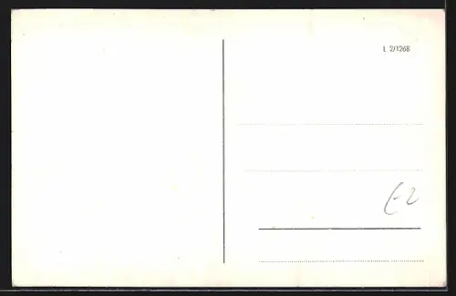 AK Celle, Schloss, Thaer-Platz, Fachwerkbauten am Grossen Plan