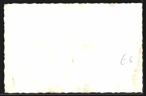 AK Celle, Stechbahn, Zollnerstrasse, Fachwerkhäuser