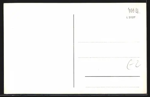 AK Celle, Rathaus und Stadtkirche