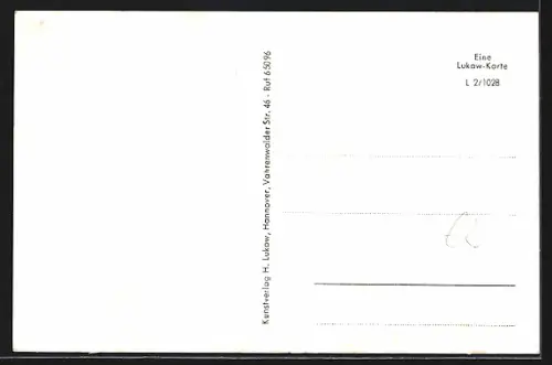 AK Celle, Schloss, Altes Patrizierhaus, Vaterländisches Museum und Apotheke