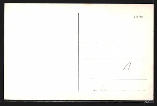 AK Celle a.d. Aller, Schloss, Schlosspark, Museum