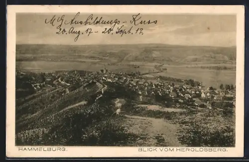 AK Hammelburg, Blick vom Heroldsberg