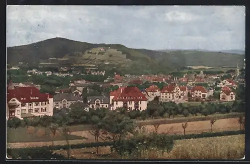 AK Bad Kissingen, Gesamtansicht