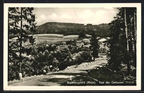 AK Stadtlengsfeld /Rhön, Blick von der Gehauser Strasse auf Landschaft und Ort