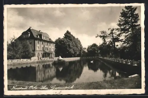 AK Neustadt /Orla, Am Gamsenteich