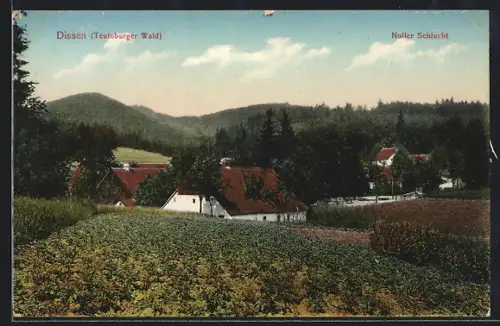 AK Dissen /Teutoburger Wald, Noller Schlucht