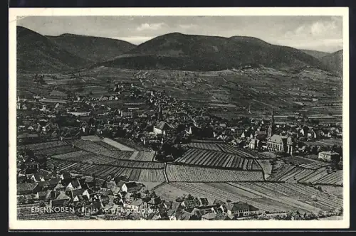 AK Edenkoben /Pfalz, Gesamtansicht vom Flugzeug aus