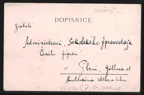 Lithographie Domazlice, Teilansicht und Turner mit Fahne, Sokol