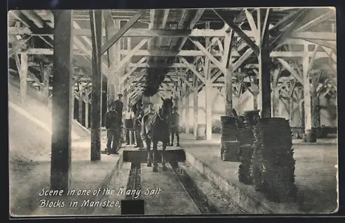 AK Manistee, MI, Scene in one of the Many Salt BlocksBergbau