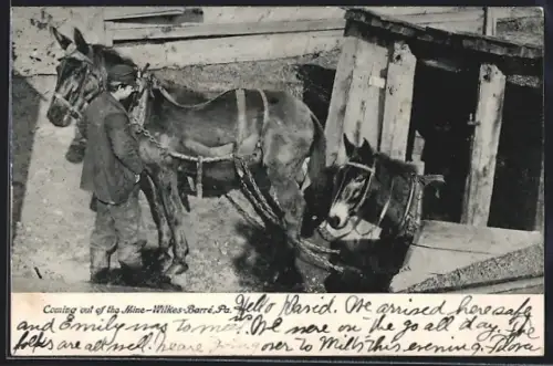 AK Wilkes-Barré, PA, Coming out of the Mine, Bergbau