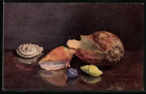 Künstler-AK Raphael Tuck & Sons Nr. 2377: Sea Shells on a Table