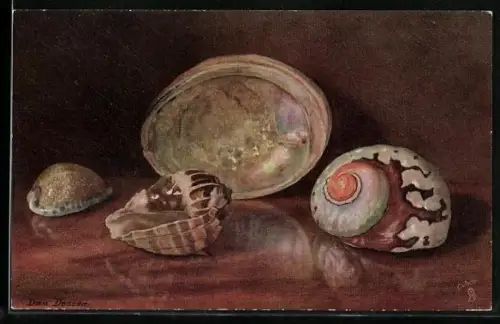 Künstler-AK Raphael Tuck & Sons Nr. 2377: Sea Shells, Pearl