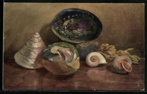 Künstler-AK Raphael Tuck & Sons Nr. 2377: Five Sea Shells