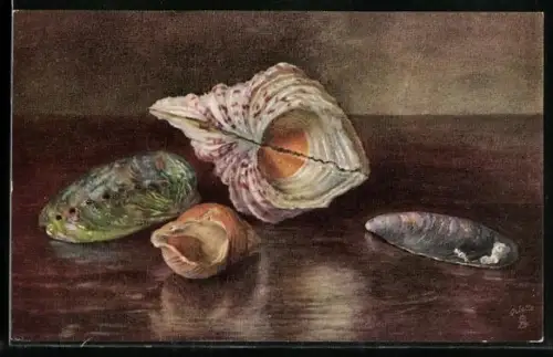 Künstler-AK Raphael Tuck & Sons Nr. 2377: Four Sea Shells