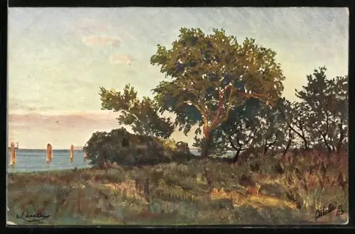 Künstler-AK Raphael Tuck & Sons Nr.1208: Blick auf einen Baum am Meer