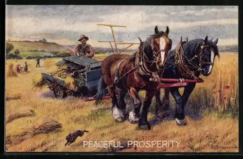 Künstler-AK Raphael Tuck & Sons Nr. 3183: Peaceful Prosperity