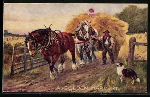 Künstler-AK Raphael Tuck & Sons Nr. 3183: A Golden Harvest