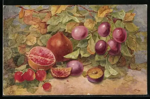 Künstler-AK Raphael Tuck & Sons Nr. 3425: Choice Fruit, Plums