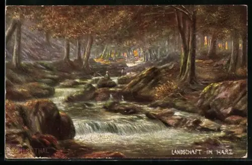 Künstler-AK Raphael Tuck & Sons Nr. 205 B: Ilsethal im Harz, Wasserfall