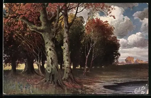 Künstler-AK Wohlgemuth & Lissner, Primus-Postkarte No. 241, Schwed-Reitz: Es war einmal