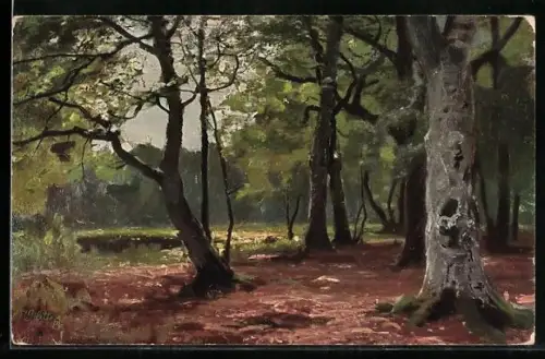 Künstler-AK Wohlgemuth & Lissner, Primus-Postkarte No. 824: Waldpartie