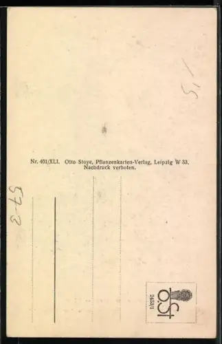 AK Echinocactus sinuatus Dietr, Kaktus