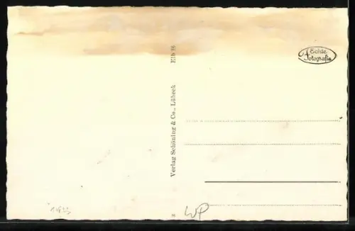 AK Elbing / Elblag, Friedrich - Wilhelm- Platz, Strassenbahn