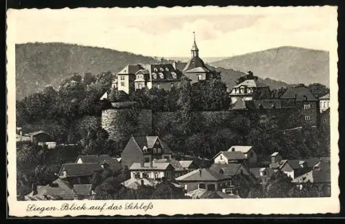 AK Siegen, Blick auf das Schloss