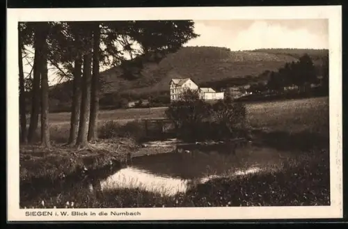 AK Siegen i. W., Blick in die Numbach