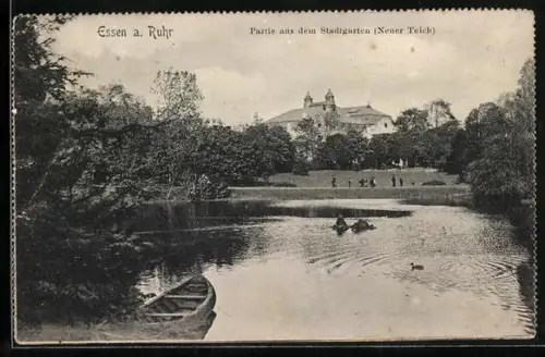 AK Essen a. Ruhr, Stadtgarten, Neuer Teich
